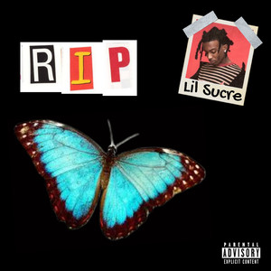 chinese农村夫妇操逼视频
